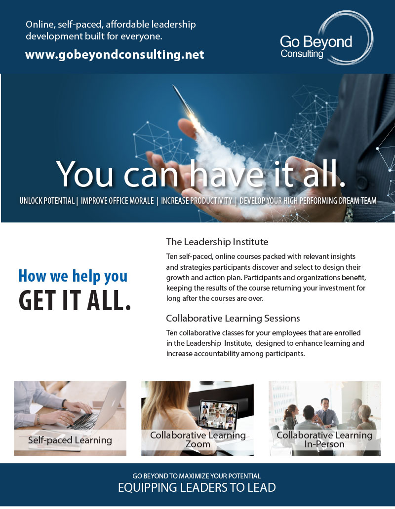 You can Do it all | Go beyond Consulting Flyer